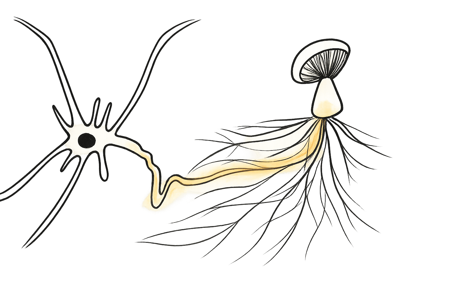 Neuro-Quartet packaging mockup