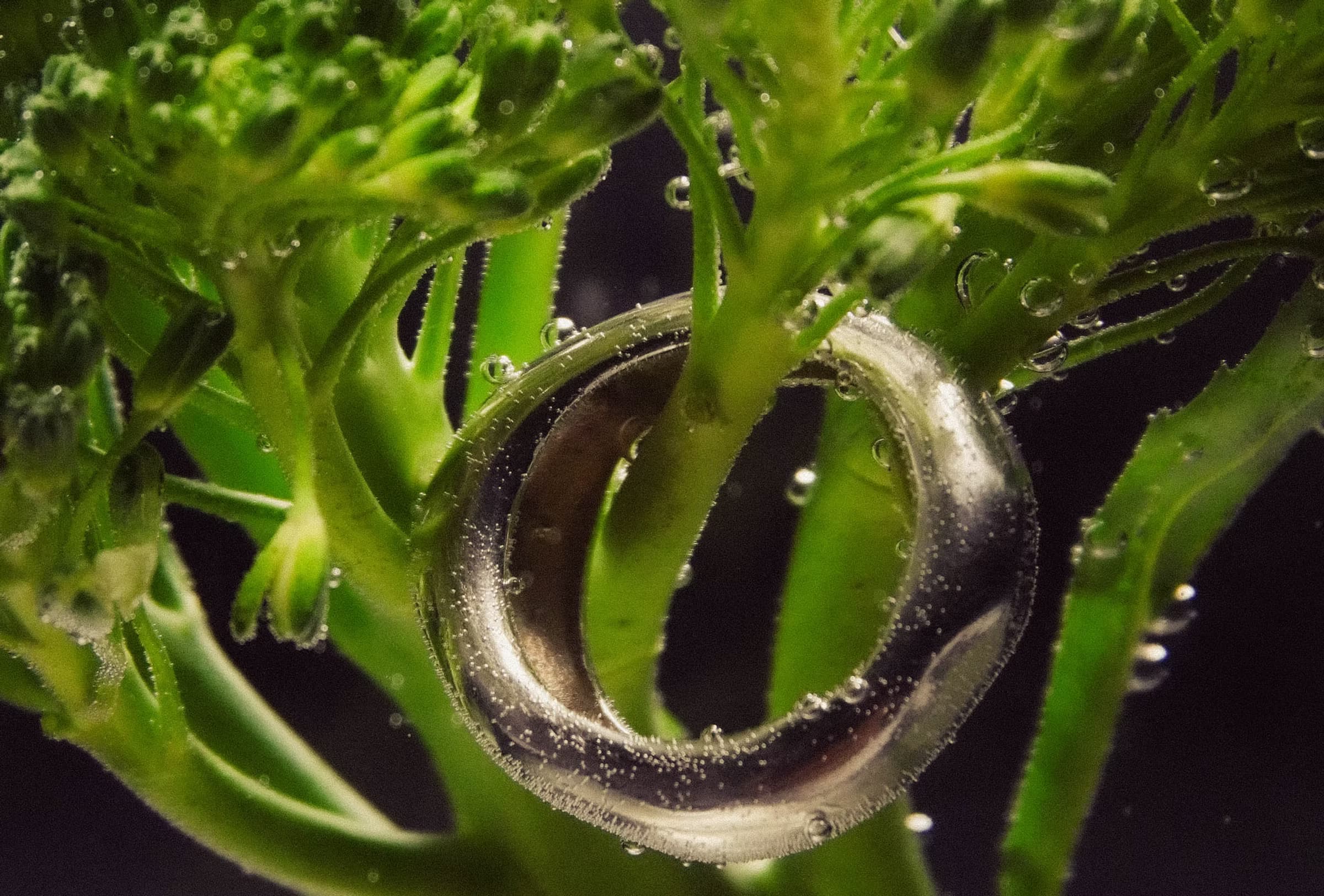 Additional jewelry photography